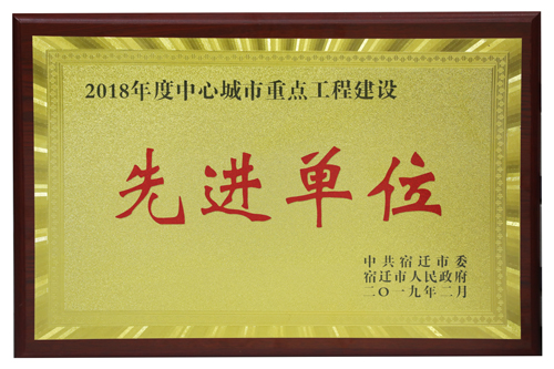 2018年度中心城市沉点工程建设先进单元