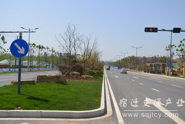 水杉大路建成图片-001.JPG