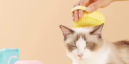 金年会(中国)官方网站入口