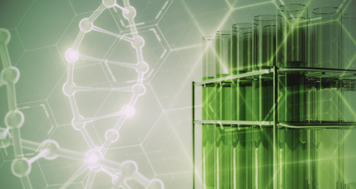 金年会(中国)官方网站入口