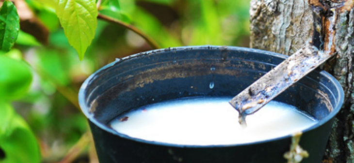 金年会(中国)官方网站入口