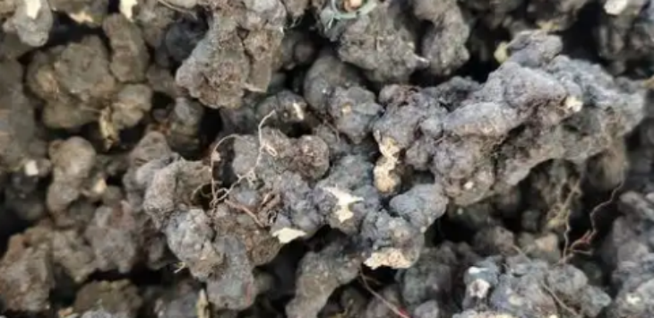 金年会(中国)官方网站入口