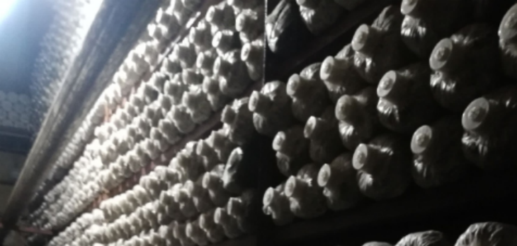 金年会(中国)官方网站入口