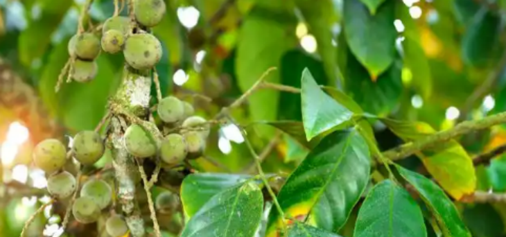 金年会(中国)官方网站入口