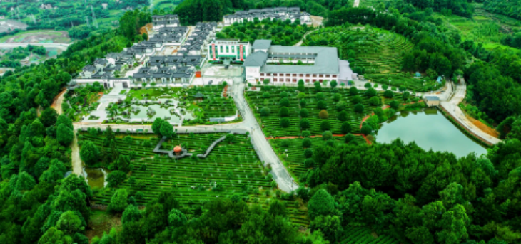 金年会(中国)官方网站入口