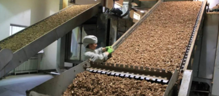 金年会(中国)官方网站入口