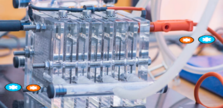 金年会(中国)官方网站入口