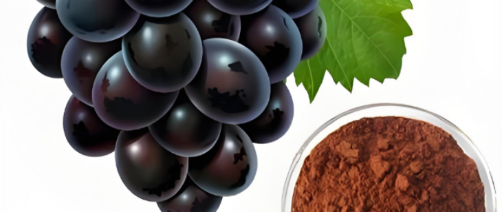 金年会(中国)官方网站入口