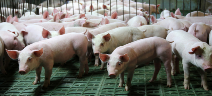 金年会(中国)官方网站入口