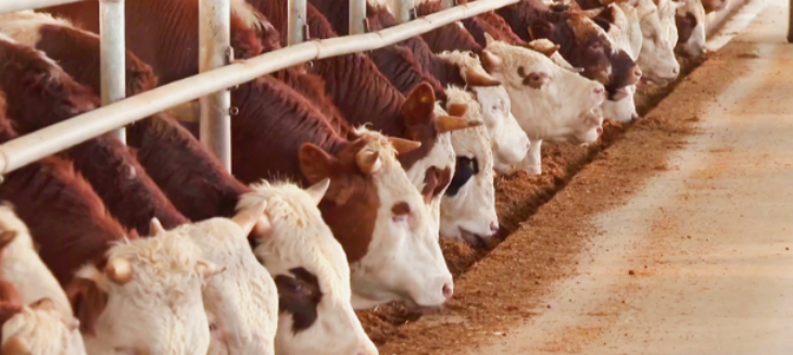 金年会(中国)官方网站入口