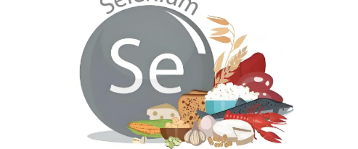 金年会(中国)官方网站入口