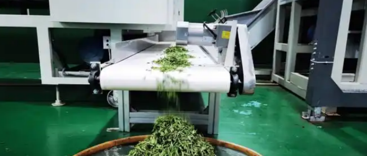 金年会(中国)官方网站入口