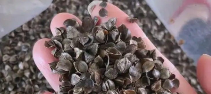 金年会(中国)官方网站入口