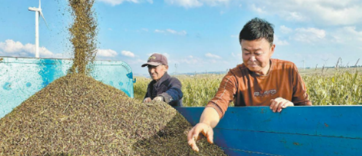 金年会(中国)官方网站入口