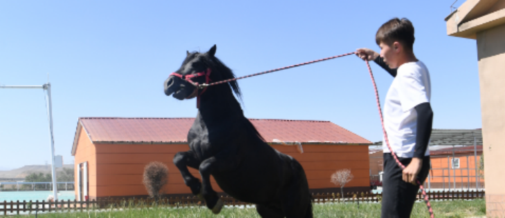 金年会(中国)官方网站入口