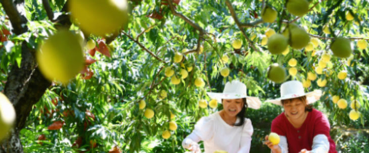 金年会(中国)官方网站入口