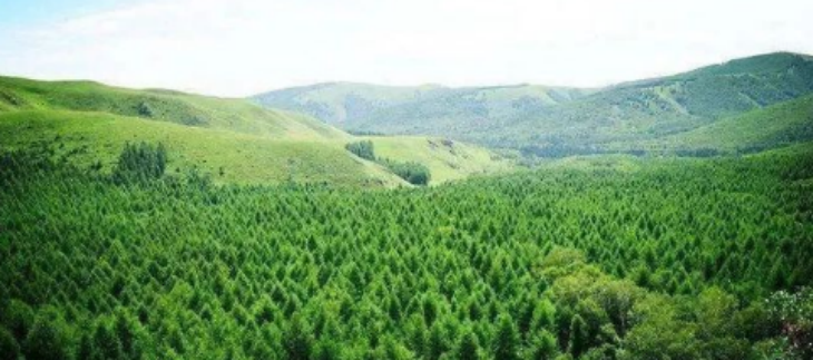 金年会(中国)官方网站入口