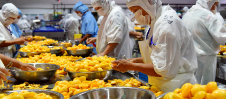 金年会(中国)官方网站入口