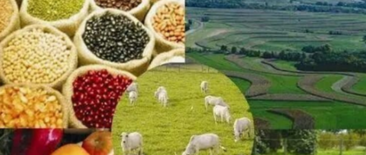 金年会(中国)官方网站入口