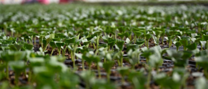 金年会(中国)官方网站入口