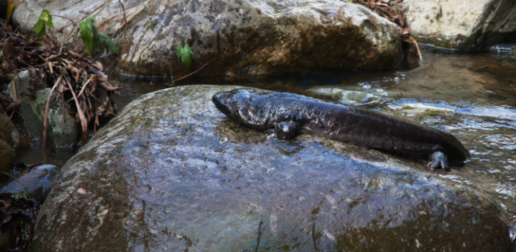金年会(中国)官方网站入口