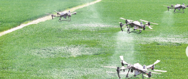 金年会(中国)官方网站入口